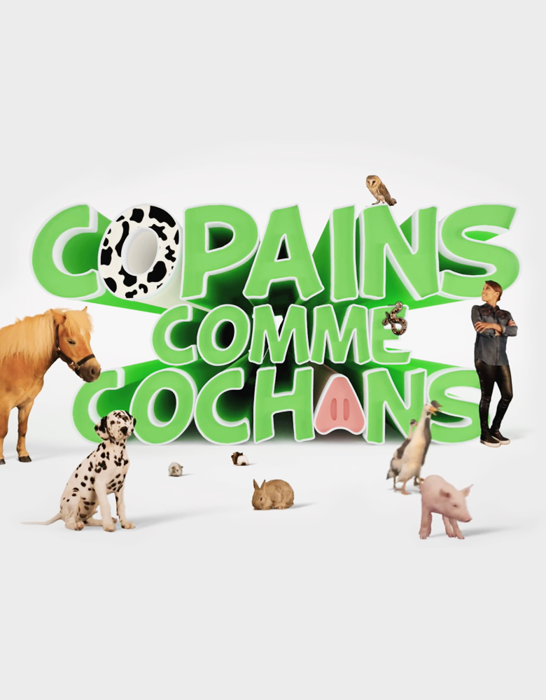 COPAINS COMME COCHONS